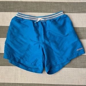 Mens Chubbies Swim Trunks Size L